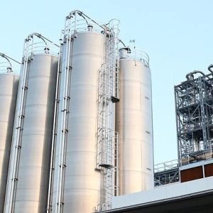 WhatsApp Image 2025-12-19 at 17.37.52